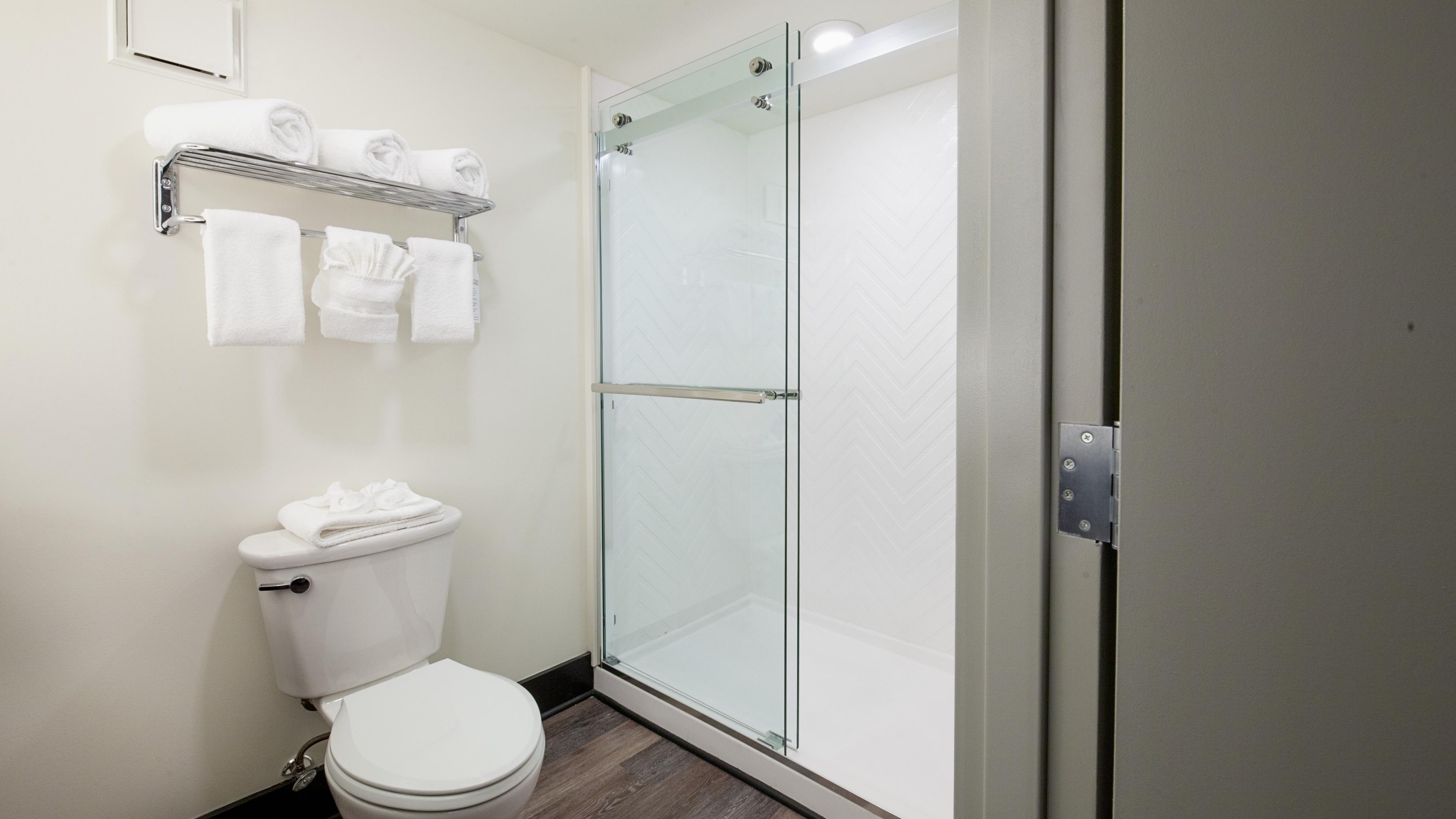 Glass-enclosed shower and toilet 